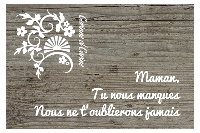 Plaque funéraire personnalisée - Tu nous manques | 1Signe by Pic Bois